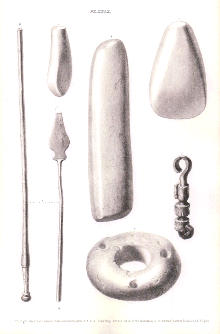 plate29